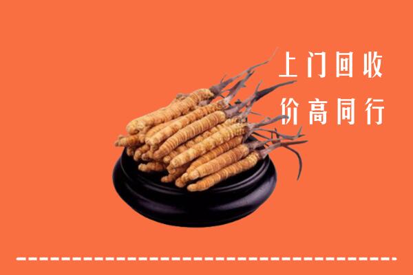 高价求购：威海市乳山市回收散虫草