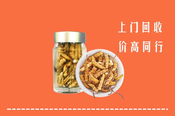 威海市乳山市高价回收冬虫夏草
